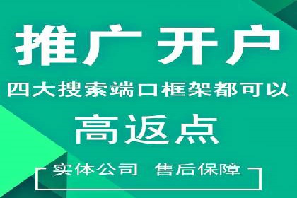 案例分析：SEM推广助力行业竞争突围